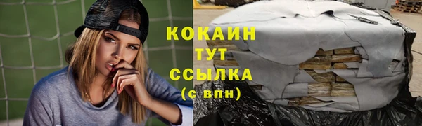 трава Дмитровск
