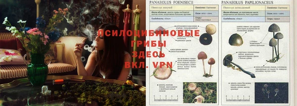 трава Дмитровск